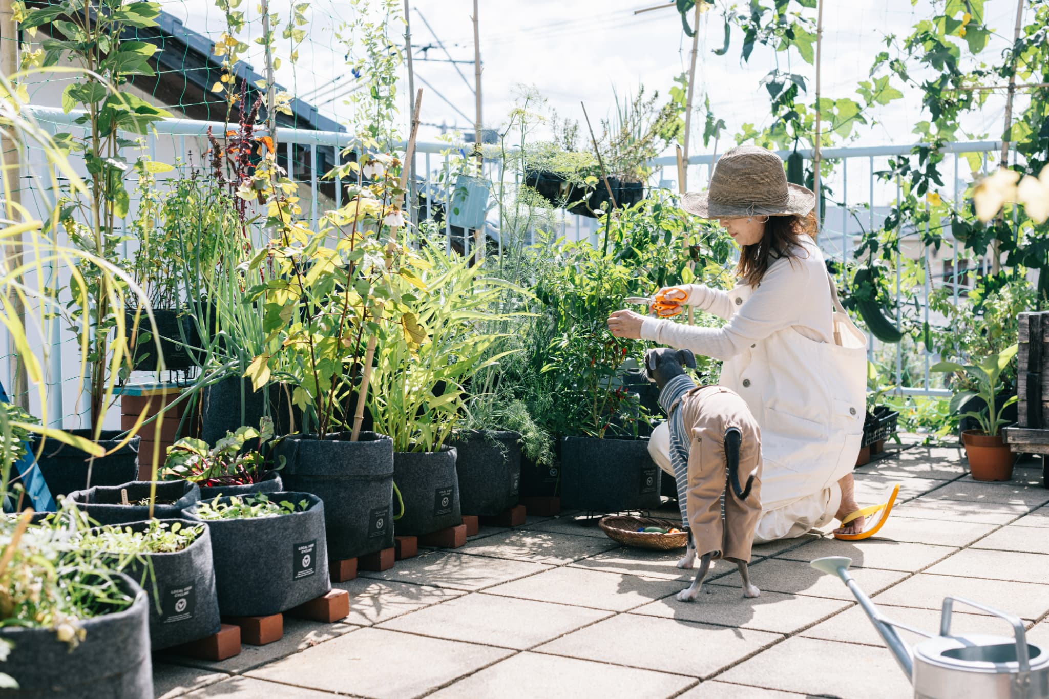 コンポストから野菜づくりの栄養循環へ。自宅で、地域で、その先でできること。