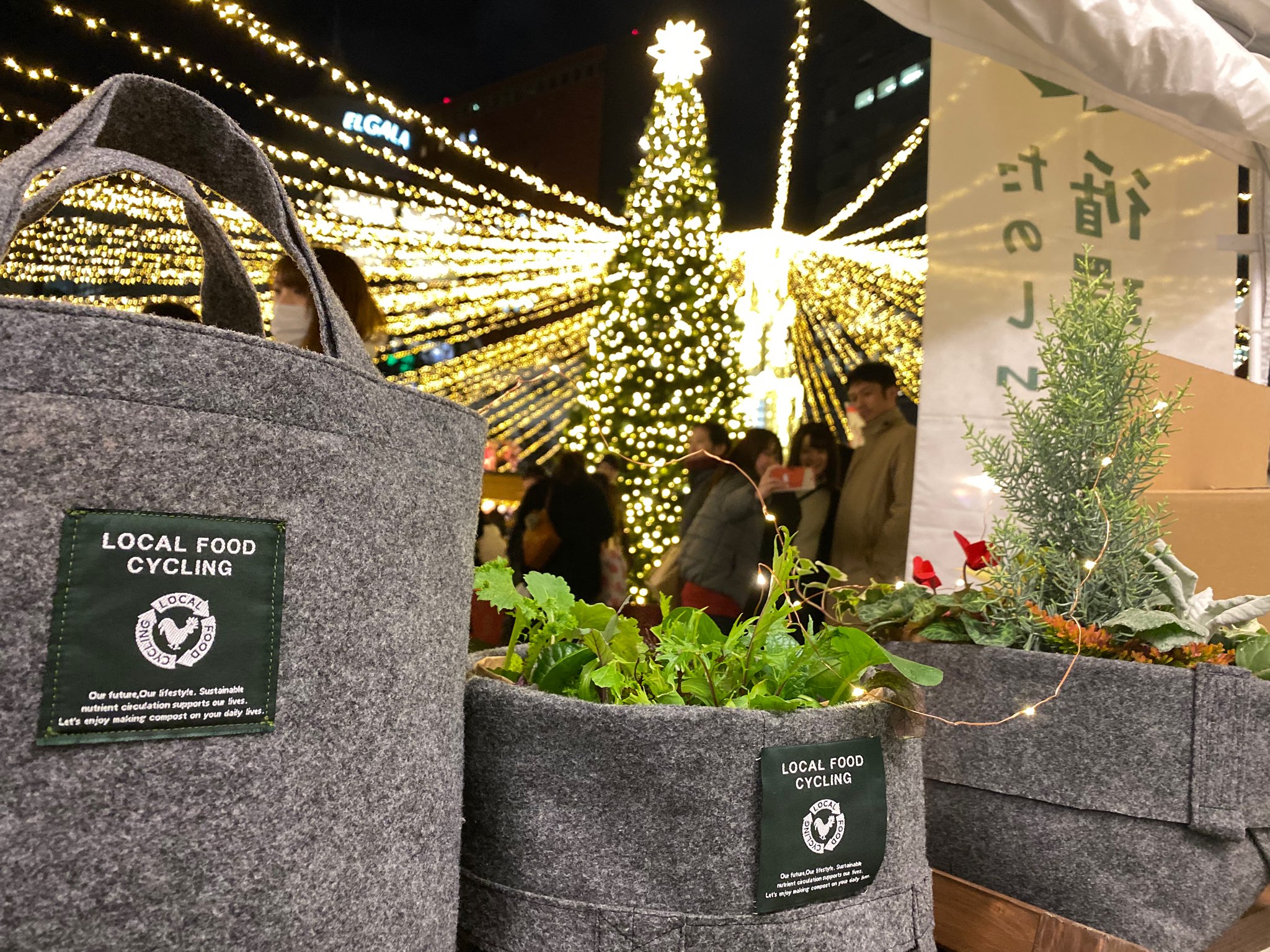 12月7日(土)＠福岡市中央区 『福岡クリスマスマーケット』に出店します！