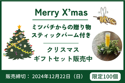 LFCコンポストクリスマスギフトセット販売を開始しました（12/2-12/22）