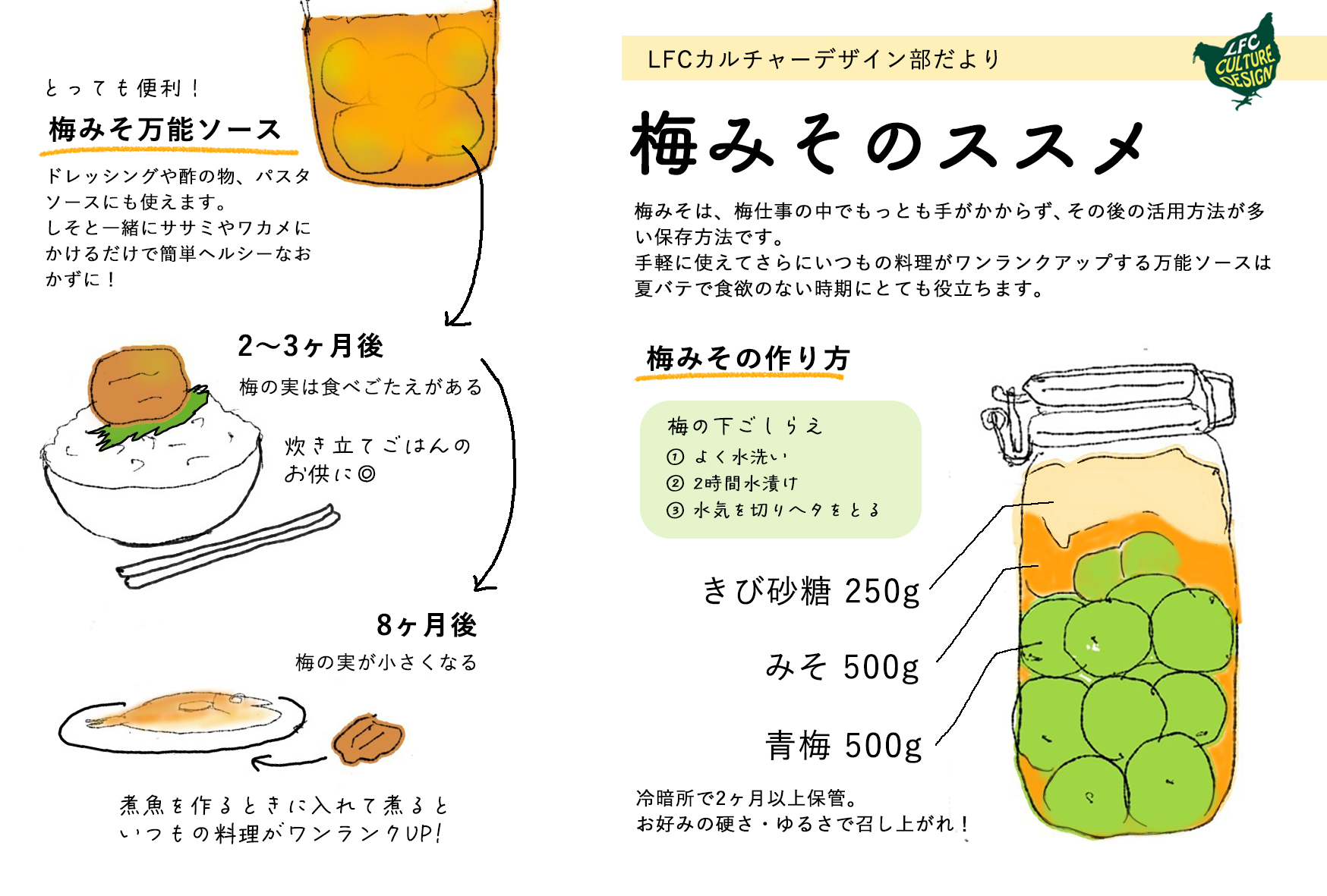 カルチャーデザイン部だより 〜梅みそのススメ〜