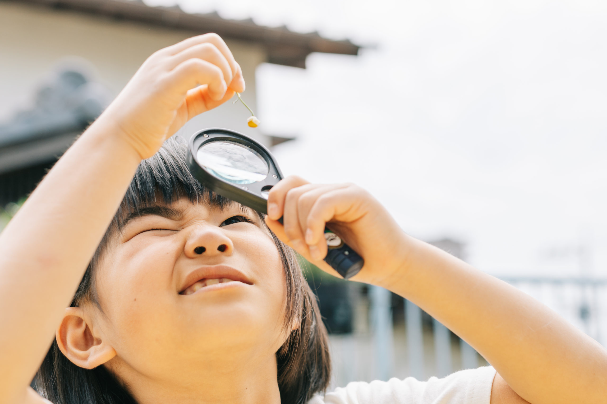 [開催レポート]なつやすみコンポスト大研究2024