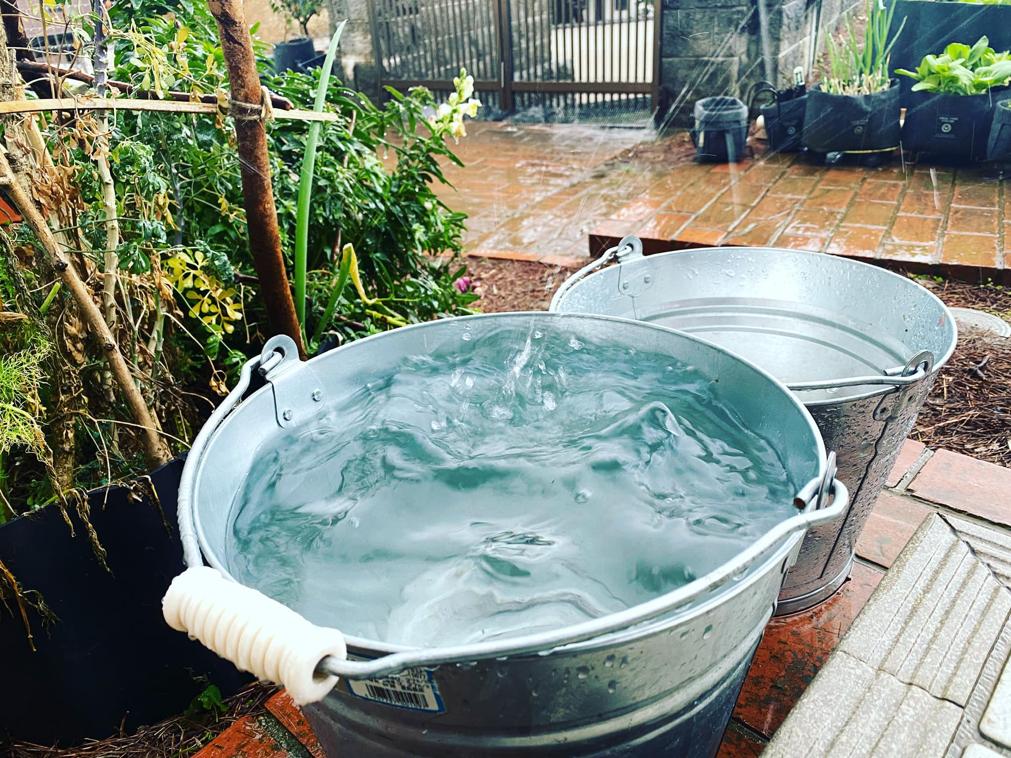 カルチャーデザイン部だより〜雨水を暮らしに活かそう〜