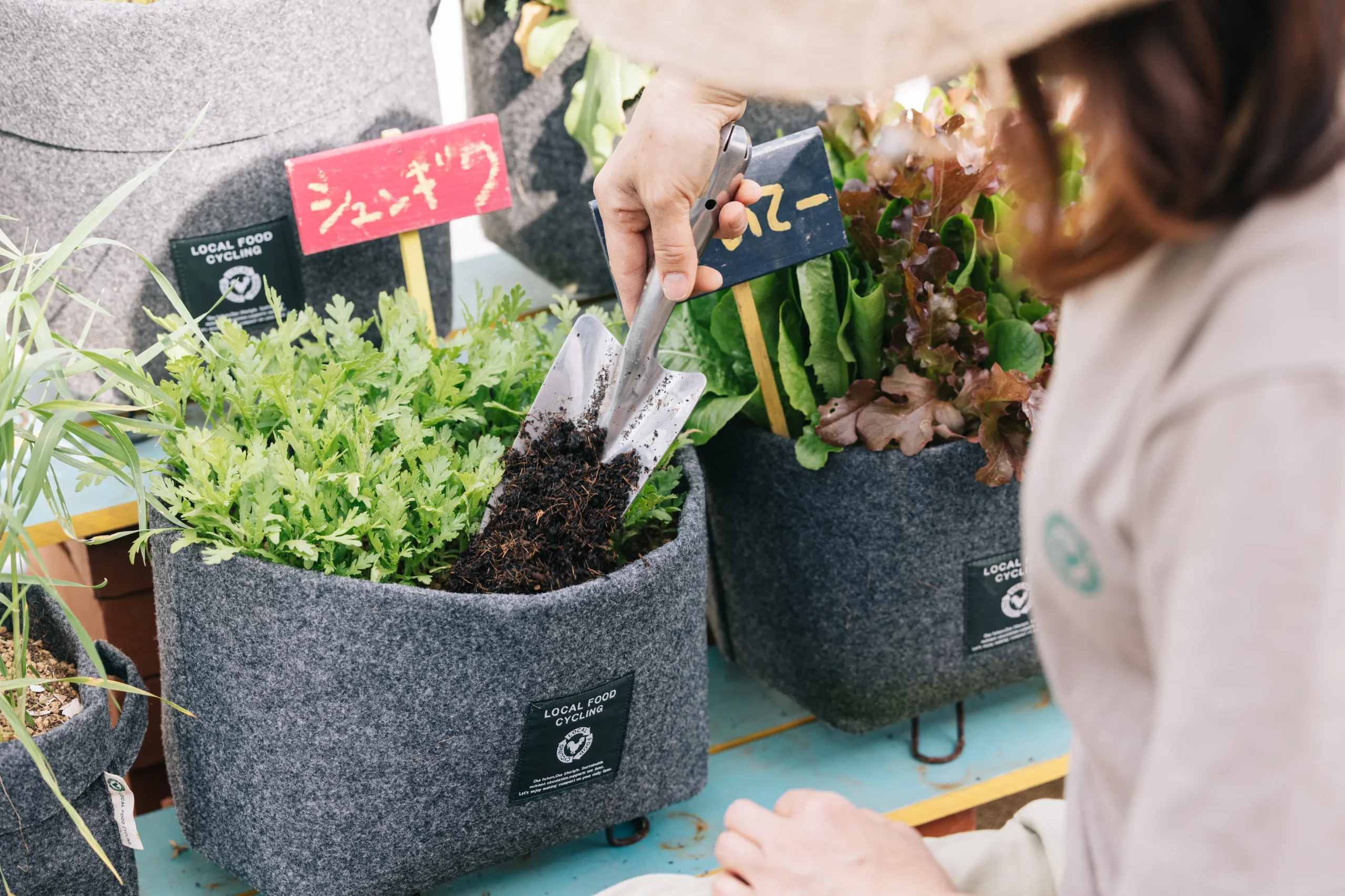 家庭菜園の栽培カレンダー｜初心者におすすめの年間プランも紹介