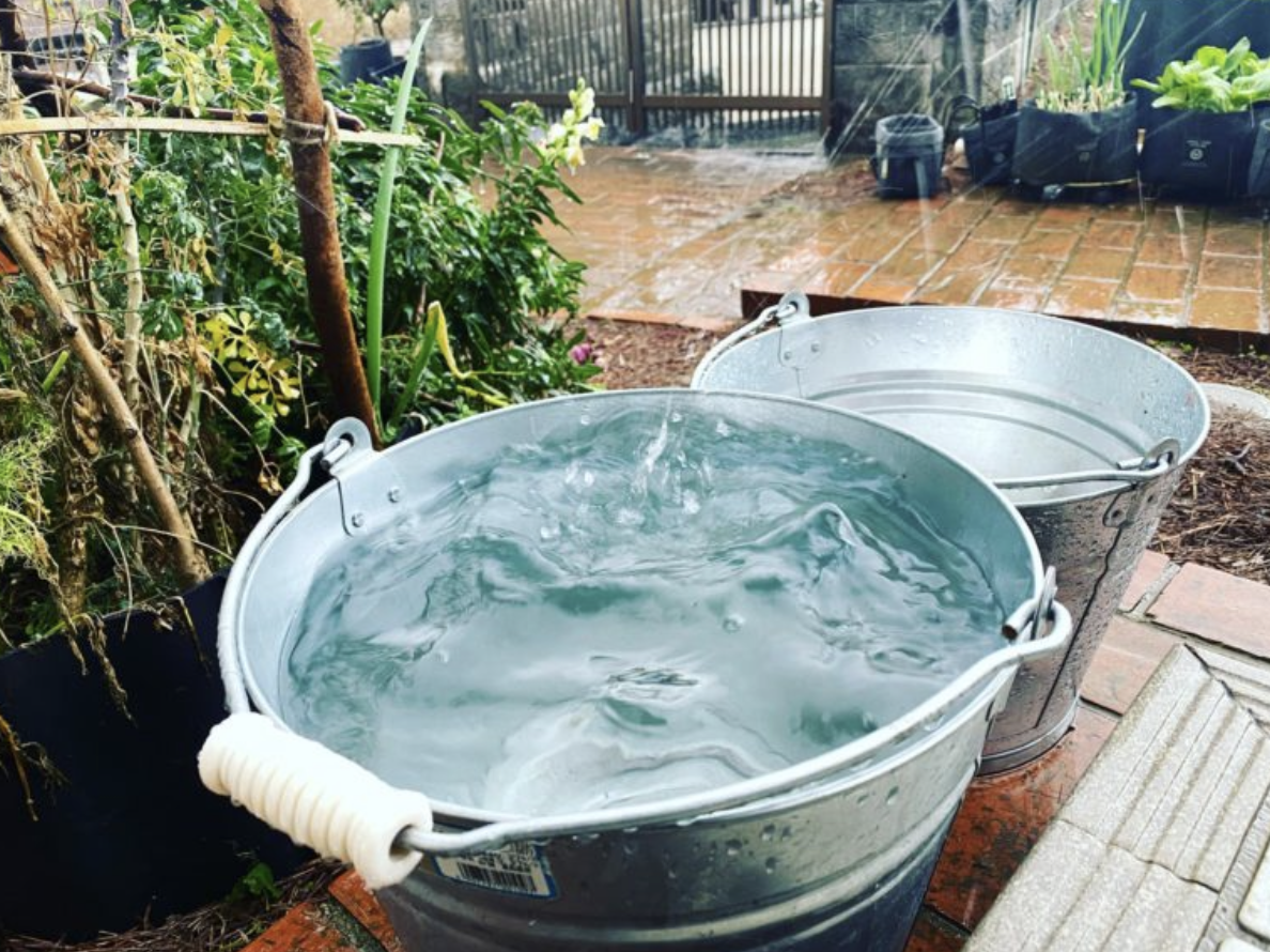 雨水も資源！LFCコンポストとあわせて取り入れたい、雨水活用のススメ