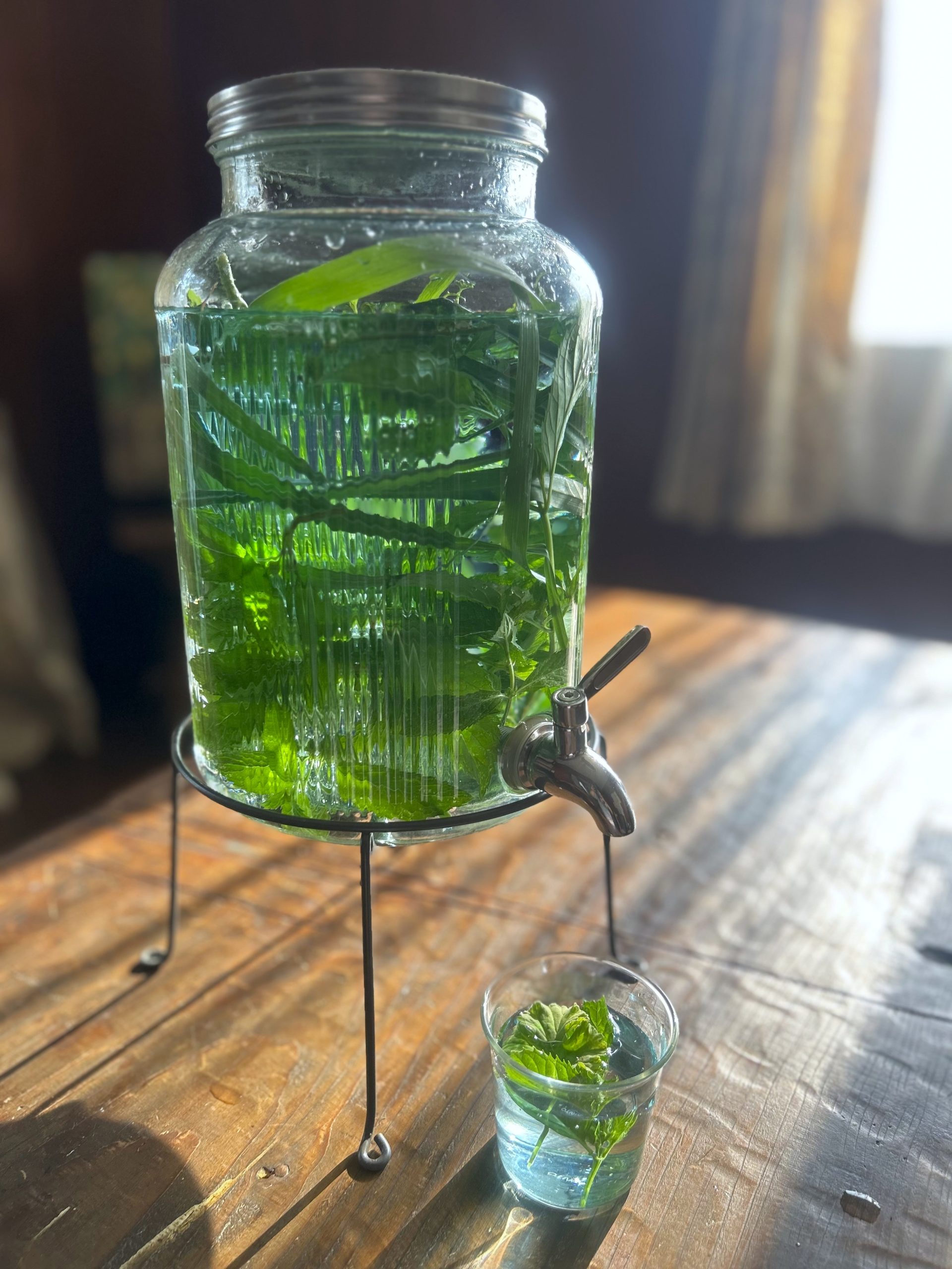 カルチャーデザイン部だより〜暑い時期こそ取り入れたいハーブウォーター