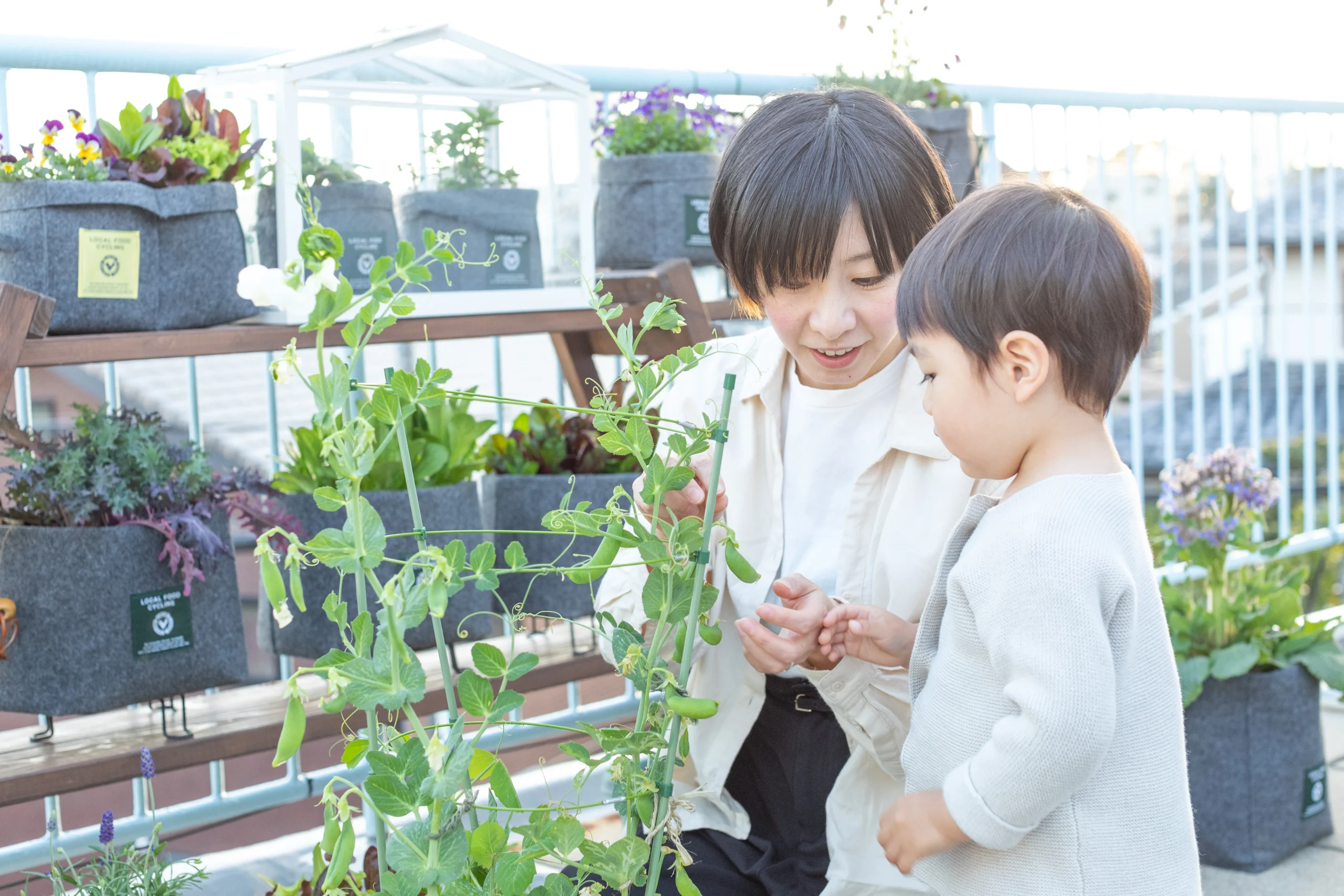 非常食に野菜を取り入れる方法6選～災害時に役立つ備えを紹介～